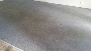 A Jewel Carpet Cleaning Pic 5 - BEFORE