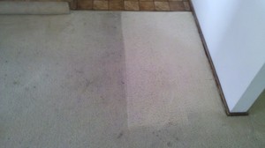 A Jewel Carpet Cleaning Pic 4 - RENTALS ARE A CHALLENGE