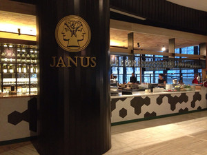 Janus Pic 4