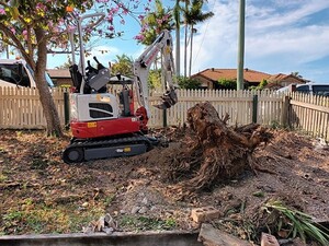 Micro-Ex Pic 5 - Stump removal completed