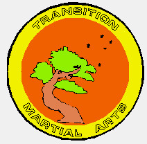 transition martial arts Pic 1