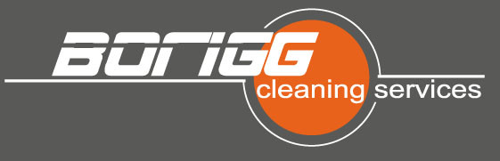 Borigg Cleaning Services Pic 1