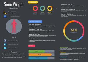 Infographic Resumes.com.au Pic 3