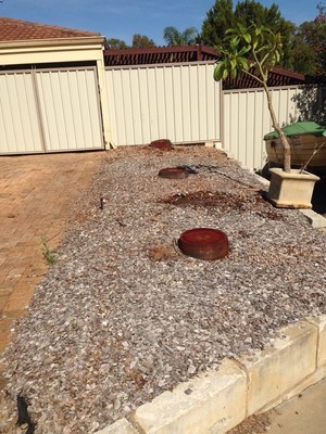 Just Stumps WA Pic 3 - PARMELIA PALM TREE STUMPS BEFORE AND AFTER