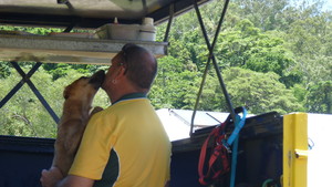 Cairns Affordable Dog Wash Pic 4 - Quinn thanking Jonny after her wash