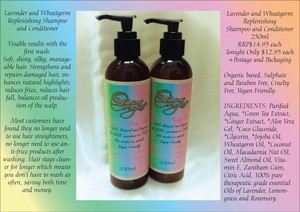 Ancient Origins Skin and Body Care Pic 4 - Shampoo and Conditioner Available for normaldry hair and normaloily hair 1495