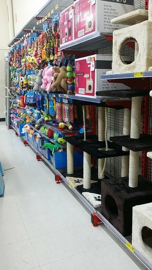 The Reject Shop Pic 2 - Lots of things for your cats and dogs