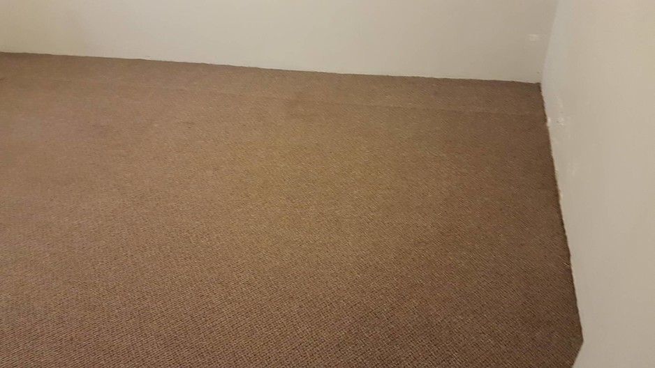 Avalon Carpet Cleaning Pic 1