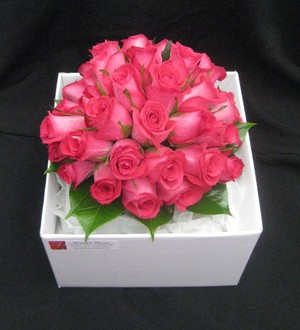 Beautiful Blooms Perth Pic 2 - 3 dozen hot lip rose bouquet