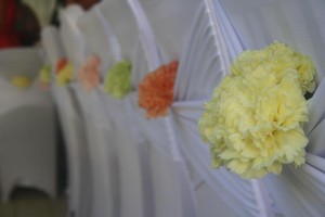 Beautiful Blooms Perth Pic 3 - Carnations in chair cover backing