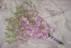 Beautiful Blooms Perth Pic 4 - orchid arm spray bouquet