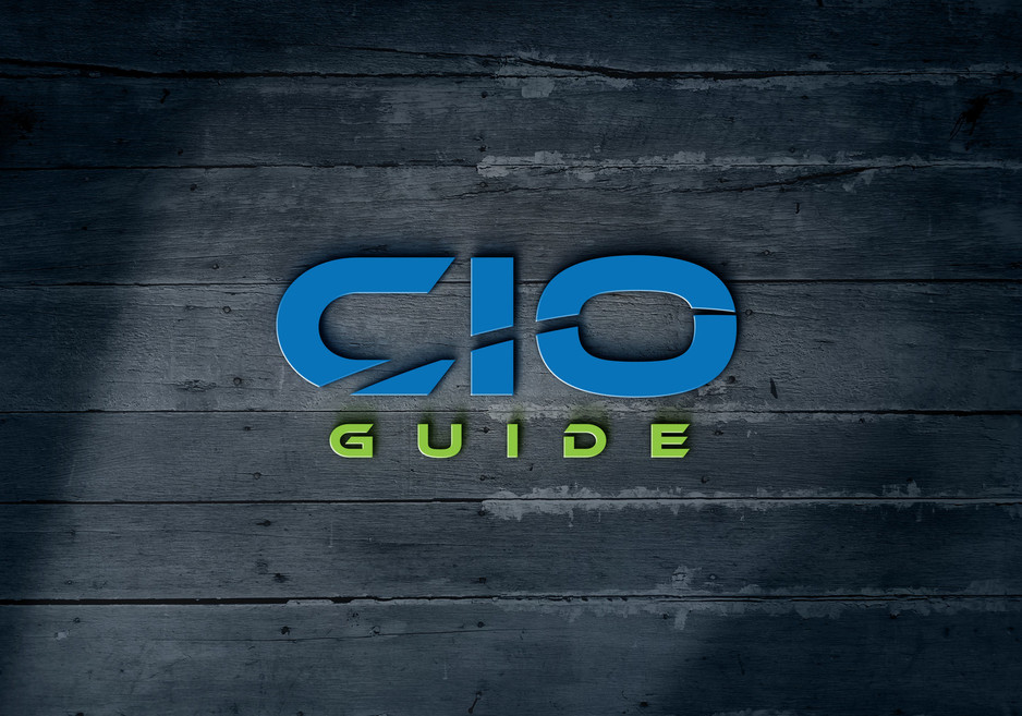 CIO Guide Pic 2