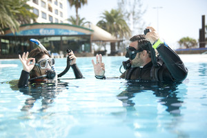 Sydney Dive Safari Pic 5