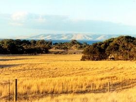 The Kona Pic 1 - Kona The Penneshaw Kangaroo Island South Australia