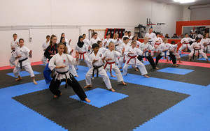 PDK Martial Arts School Pic 2