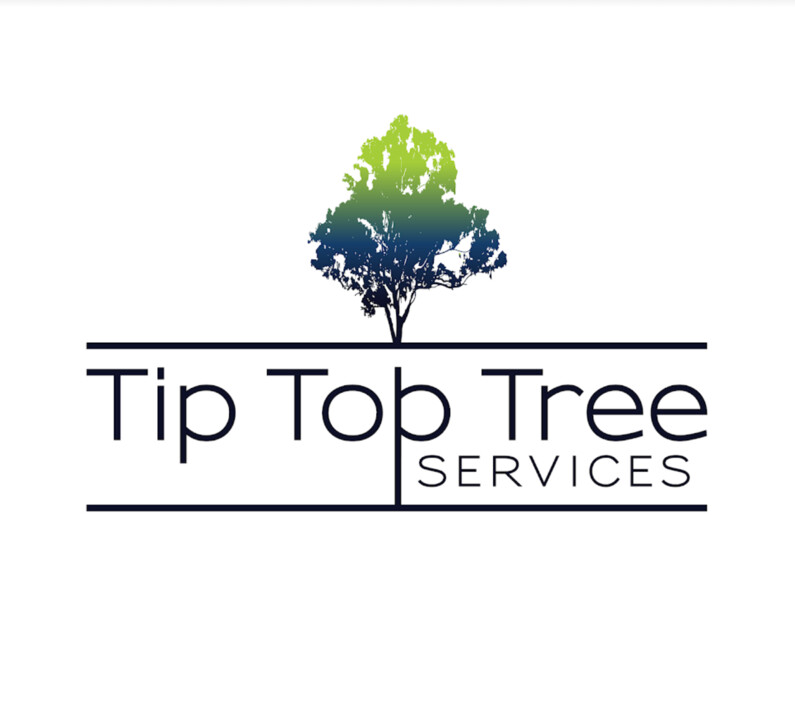 Tip Top Tree Services Pic 1