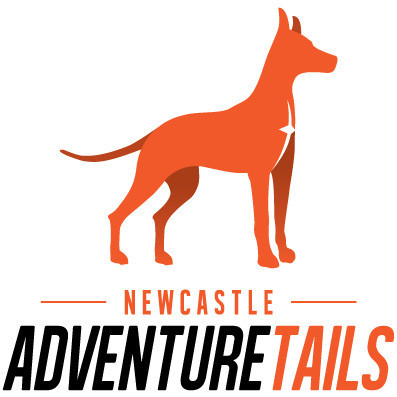 Newcastle Adventure Tails Pic 1