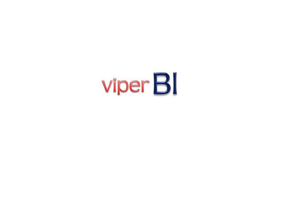 Viper Business Intelligence Pic 1