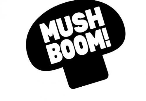 MushBoom Pic 1