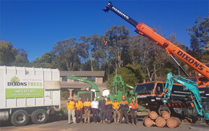 Arborist Blue Mountains Pic 2