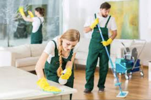 1 Stop Carpet Cleaning Pic 2