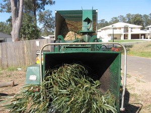 Dave's Tree Lopping Pic 2 - Treecycling