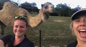 Insight Marketing Group Pic 2 - Our Lovely ICs out in the field ft a Camel