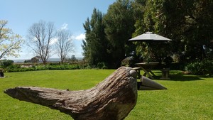 Fox Creek Wines Pty Ltd Pic 4