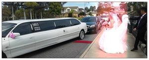 Bianca Chauffeured Cars Pic 2