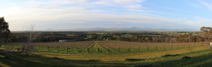 The Sleeping Lady Pic 3 - Panoramic view of the Stirling Ranges