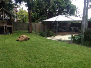 TreeFrog Landscapes Pic 5 - Bulimba property TreeFrog Lawn mowing