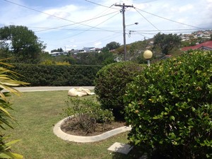 TreeFrog Landscapes Pic 2 - Customers property in Camp Hill regular maintenance of lawns and hedges