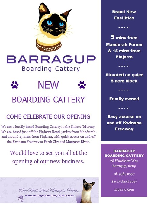 Barragup Boarding Cattery Pic 1