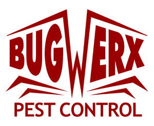 Bugwerx Pest Control Pic 1