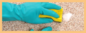 Carpet Cleaning 4 U Pic 5