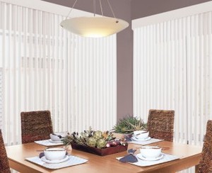 Vista Blinds Pic 2 - translucent blinds