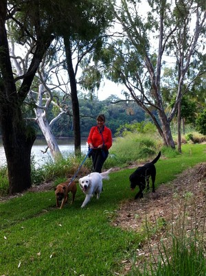 Happy Pooches Pet Care Pic 2 - Happy Pooches Walk and Play