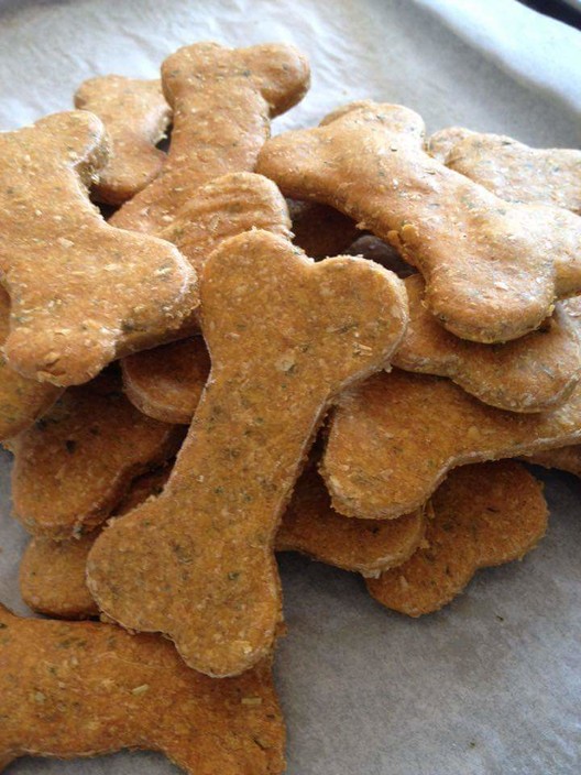 Turbo's Treats Pic 1 - Pumpkin Sweet Potato Carrot Zucchini Treats