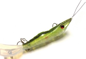 Scumline Fishing Tackle in Coffs Harbour, NSW, Fishing - TrueLocal