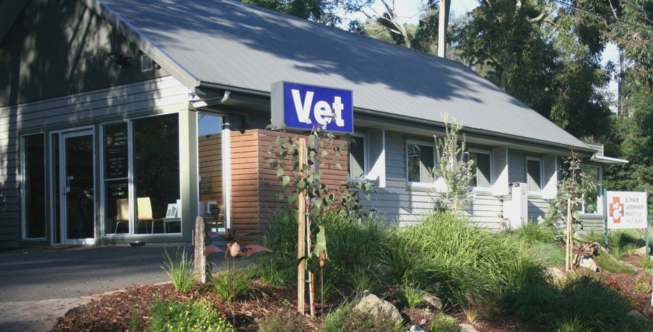 Eltham Veterinary Practice Pic 1 - Our Hospital