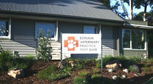 Eltham Veterinary Practice Pic 2 - Our Hospital on 644 Main Rd