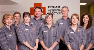 Eltham Veterinary Practice Pic 3 - Our Team