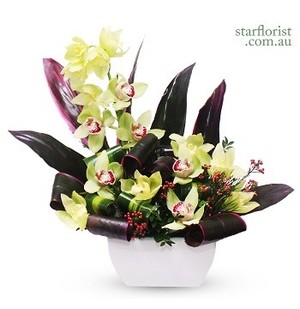 Star Florist Pic 4 - Orchid Arrangement