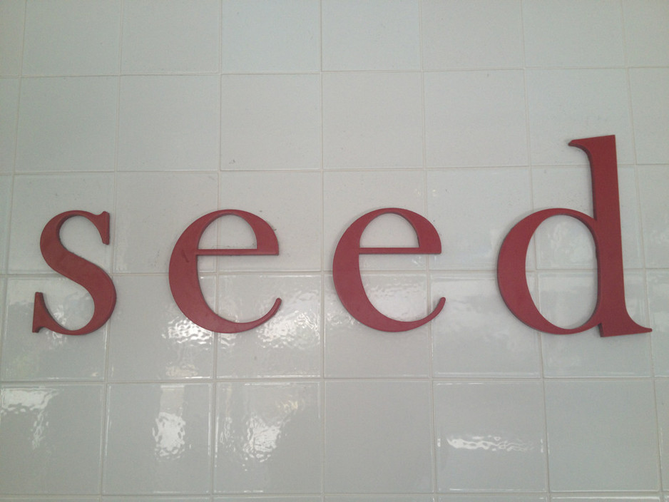 Seed Pic 2