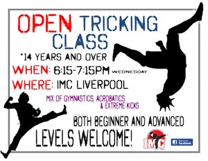 IMC Liverpool Martial Arts Pic 4 - Tricking Class