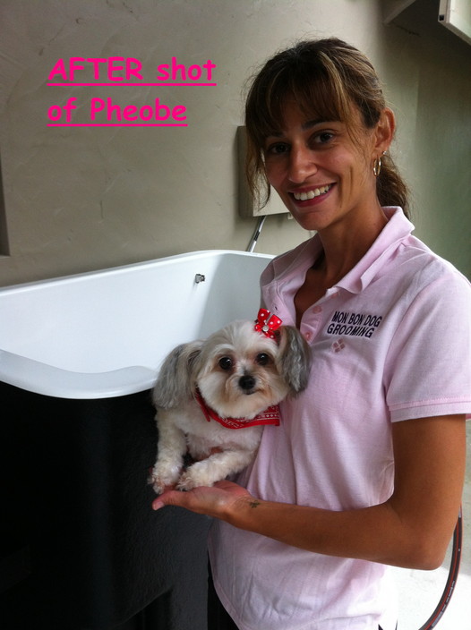 Mon Bon Dog Grooming Pic 1