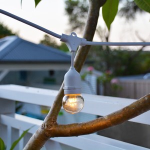 Festoon Aus Pic 4 - White Commercial Festoon Lighting