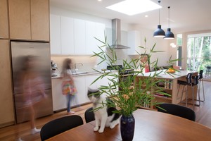 Kestrel Building Pty Ltd Pic 2 - Marrickville House Kitchen