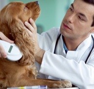 Ellenbrook Animal Clinic Pic 3 - Ellenbrook Animal Care Microchipping