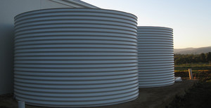 Waterline Tanks Pic 3